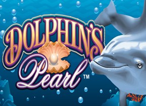 Dolphins Pearl Classic