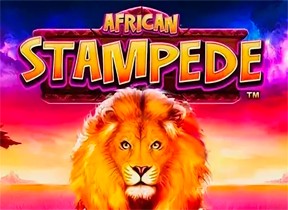 African Stampede